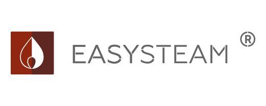 ИЗИСТИМ (EASYSTEAM)