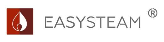 ИЗИСТИМ (EASYSTEAM)