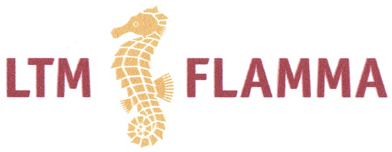 ЛТМ ФЛАММА (LTM FLAMMA)