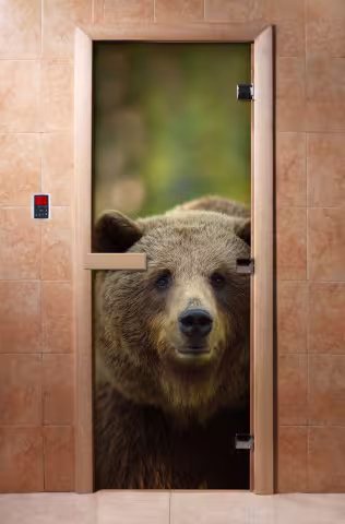 Дверь для бани и сауны Doorwood с фотопечатью A065 700х1900 мм