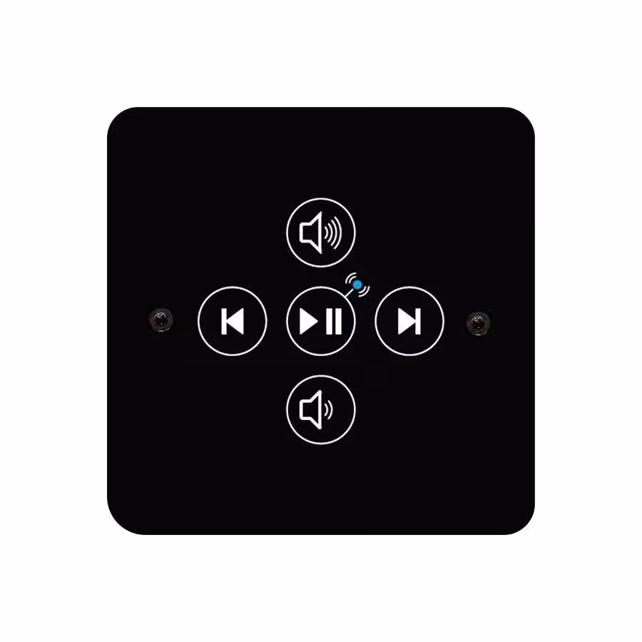 Пульт управления аудиоколонками Fasel FCU-EXT-AUDIO-MODUL-SW с функцией Bluetooth