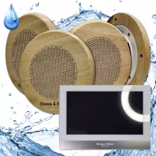 Комплект домашней акустической системы с караоке-усилителем Steam&Water SOUND SAUNA R4