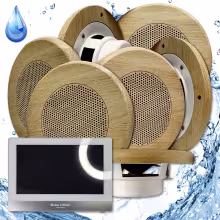 Комплект домашней акустической системы с караоке-усилителем Steam&Water SOUND SAUNA R7