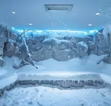 Снежная комната Evo Snow Room